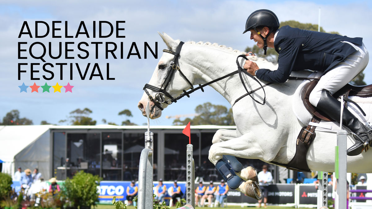 Meet us at the 2024 Adelaide Equestrian Festival Theault